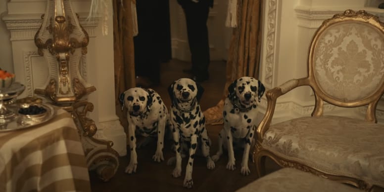 Cruella la historia de su perro Buddy deja a los espectadores en shock